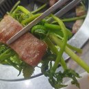 돼지와 건강 | 대전 관저동 원내동 맛집 또먹돼지, 진짜 흑돼지와 미나리로 건강하고 가성비 좋게