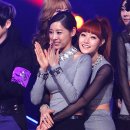 세라 이미지