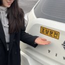 춘천 찍먹 당일치기 이것도 여행이라고 할 수 있어? 웅. 아, 아닌가 나들이?