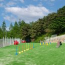 동화카라반 이미지