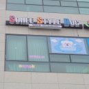 소희 스타일 독 이미지