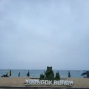 연곡농협 | [캠핑]연곡해변솔향기 캠핑장