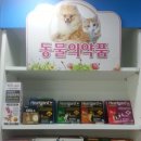 대치동동물약국 네이버블로그