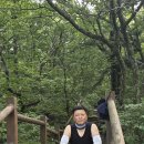 (2)노고단에서 벽소령(25.8.28) 이미지