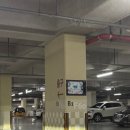 5109 | 부산 서면 푸스인솔 무좀발톱 후기, 이렇게 달라졌어요