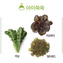 서우농장 이미지