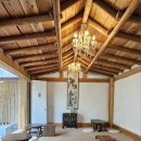 우림(아) 이미지