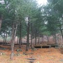 중미산자연휴양림 이미지