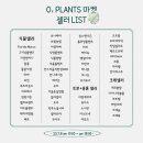 오투마켓