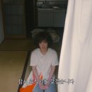 비로소;여름