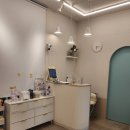 하이멍 애견미용 이미지