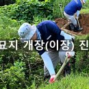 중앙장묘 | [1년 전 오늘] 솔직 담백한 포천 신당중앙교회 묘지개장 및 내촌 자연장지 분골 안장 후기
