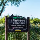 금와습지 생태공원 | 가을 햇살에 반짝이는 억새와 메타세쿼이아, 부산 삼락습지생태공원 산책 후기..