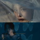 휘스토리 스포츠경향