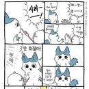 직구월드