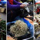 강화군청 화문석문화관 이미지