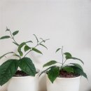 스마트폰 교실 이미지