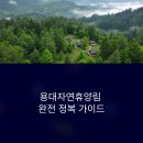 명당PC | 용대자연휴양림 완전 정복: 인기 숙소와 캠핑 명당 안내