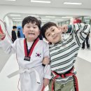 한체대 석사 태권도 이미지