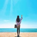 적벽강마을 | 유채꽃 전북 변산면 적벽강길 바다 포토존 몽돌해변...시기 무료 주차장 반려동물 트레킹 코스 봄꽃 후기