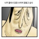 도리도리 이미지