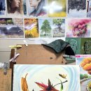 약사초등학교 이미지