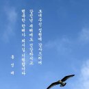 홍성배 이미지