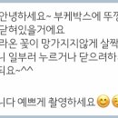 플라웍스