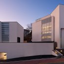 펫포레스트 이미지