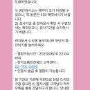 울산 자동차 정기검사 울산신항정비(한국교통안전공단 검사소) 이용후기