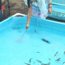 딩동댕 동전노래게임장 | 강원도 가볼만한 곳_원주 장미축제_메뉴 가격 놀거리 추천