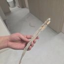 픽스플로우 | [입주기록]KCC포레스톤 플로우스톤 내돈내산 시공후기 신축입주 바닥시공 맨즈바닥