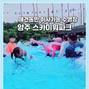 (주)일영 | 양주 스카이워터파크 20명 단체 방문! 애견 동반·취사 가능한 수영장 솔직 후기