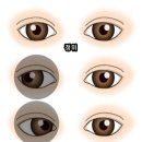 스톤글라스 안경원 네이버블로그