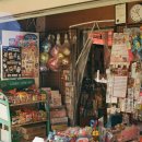 경기도 수원시 팔달구 세지로 294번길 이미지