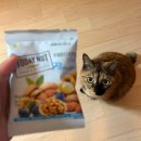 제노바이오 | [위클리 조각모음] 제철 음식과 제철 미남들 (+음중 사녹 후기)