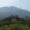 창원단감테마공원 이미지