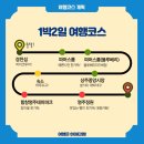 꽃동산분식 | 경북 상주 여행코스 당일치기로도 좋구 1박2일 블루베리 체험!