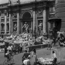 로마의휴일 이미지