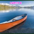 라인갤러리 이미지
