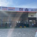 일로모터스M