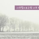 나라여행사주 이미지