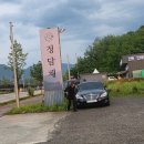 정담채 이미지