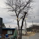 신 한수위 숯불갈비 | 강원도 양양 낙산사맛집 한돈숯불촌 국내산 돼지갈비 후기