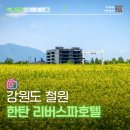 태봉로 | 고석정꽃밭 가까운 철원 숙소 한탄리버스파호텔 후기