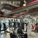 원파인짐