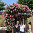 씨유포항문덕로드점 | 6월의 채채