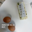 보민주 | 대전 MPL 지방분해주사 2회차 통증 식단 후기