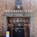 경동로(송현동) | 안동 맘모스베이커리 분점 방문 후기 크림치즈빵, 유자파운드