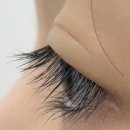 산호대로-10 이미지